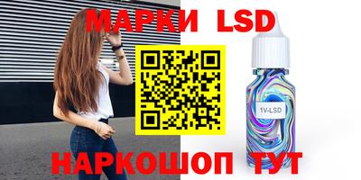 индика Кингисепп
