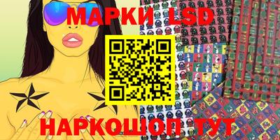 индика Кингисепп