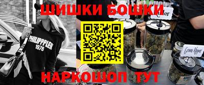 индика Кингисепп
