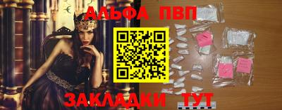 индика Кингисепп