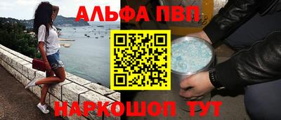 индика Кингисепп