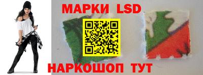 индика Кингисепп