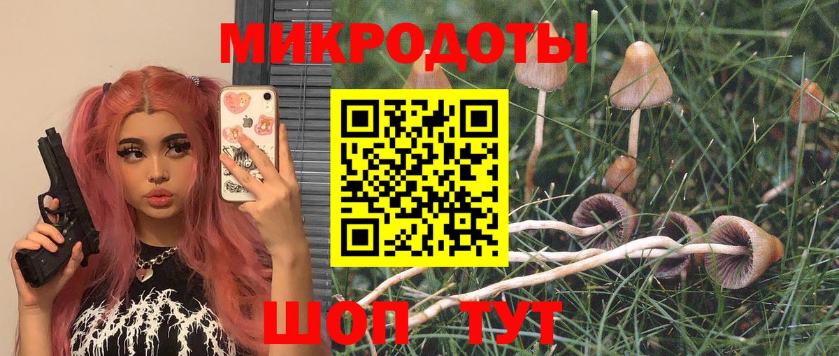 Кызыл  Галлюциногенные грибы мицелий  Галлюциногенные грибы ЛСД  Вход с VPN 