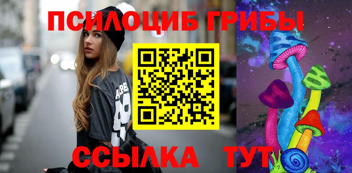 Псилоцибиновые грибы Psilocybe Кызыл