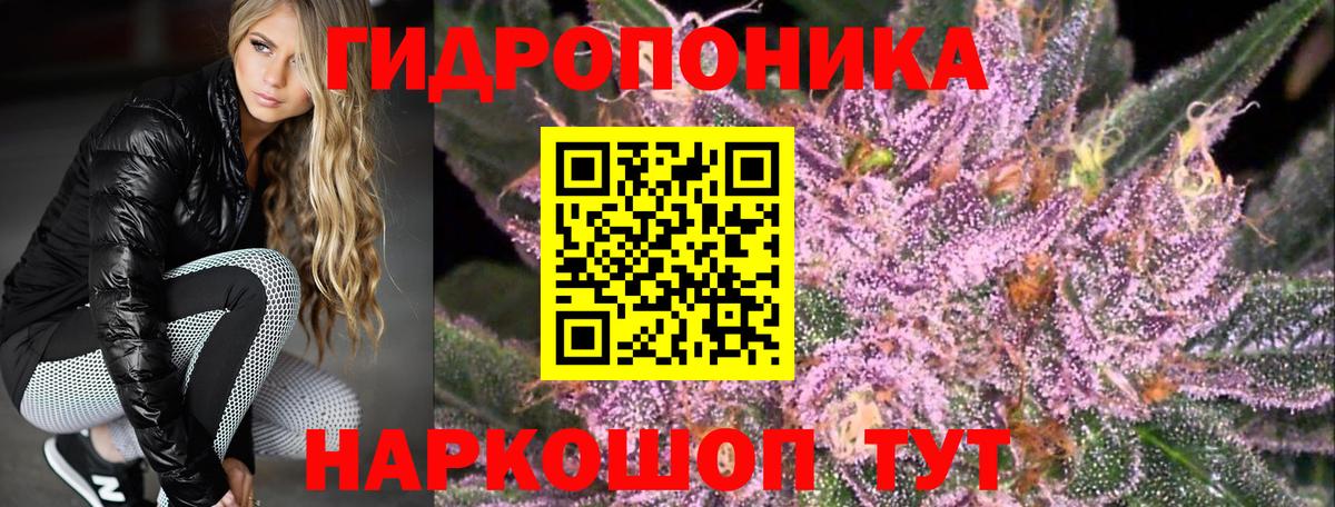 Конопля AK-47  Бошки Шишки гибрид  Вход с VPN  Кызыл 